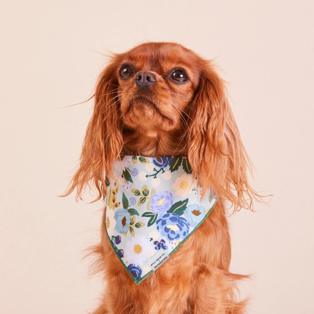 The Foggy Dog x Rifle Paper Co. Vintage Blossom Bandana