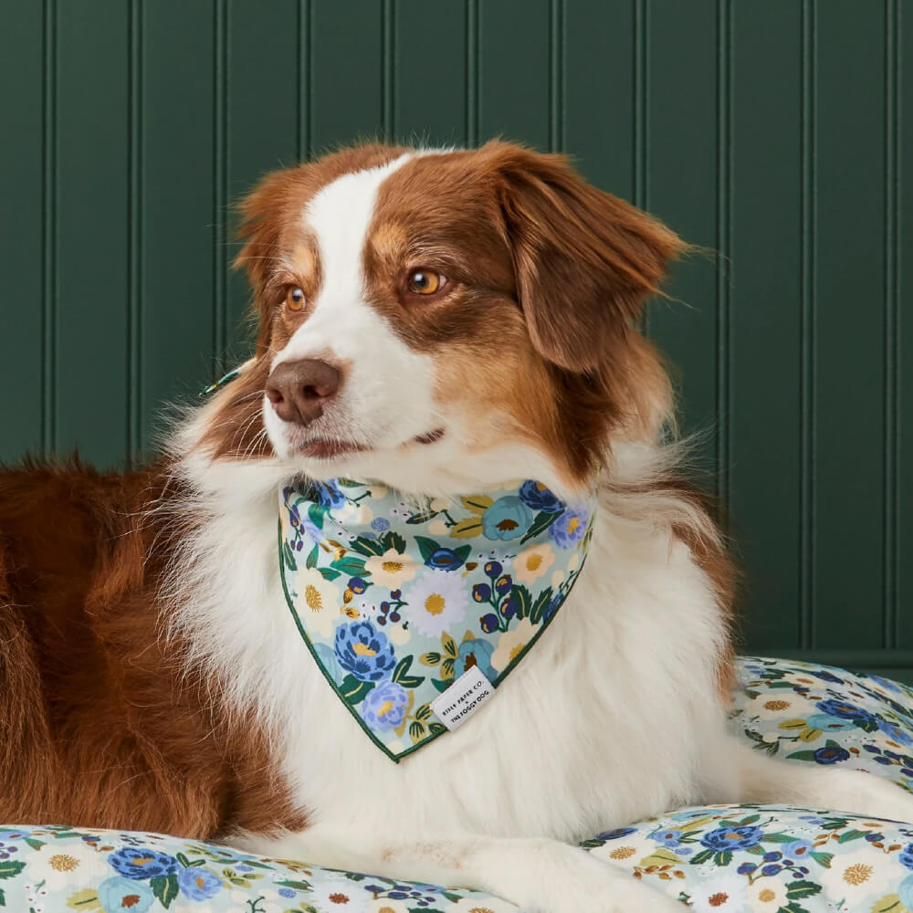 The Foggy Dog x Rifle Paper Co. Vintage Blossom Bandana