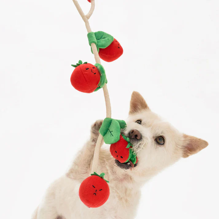 the furryfolks Cherry Tomato Nosework & Tug Toy