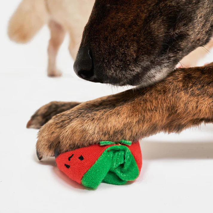 the furryfolks Cherry Tomato Nosework & Tug Toy