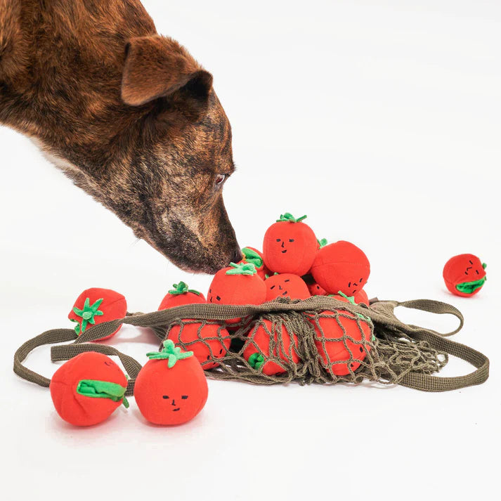 the furryfolks Cherry Tomato Nosework & Tug Toy