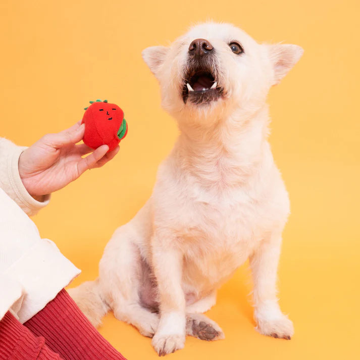 the furryfolks Cherry Tomato Nosework & Tug Toy