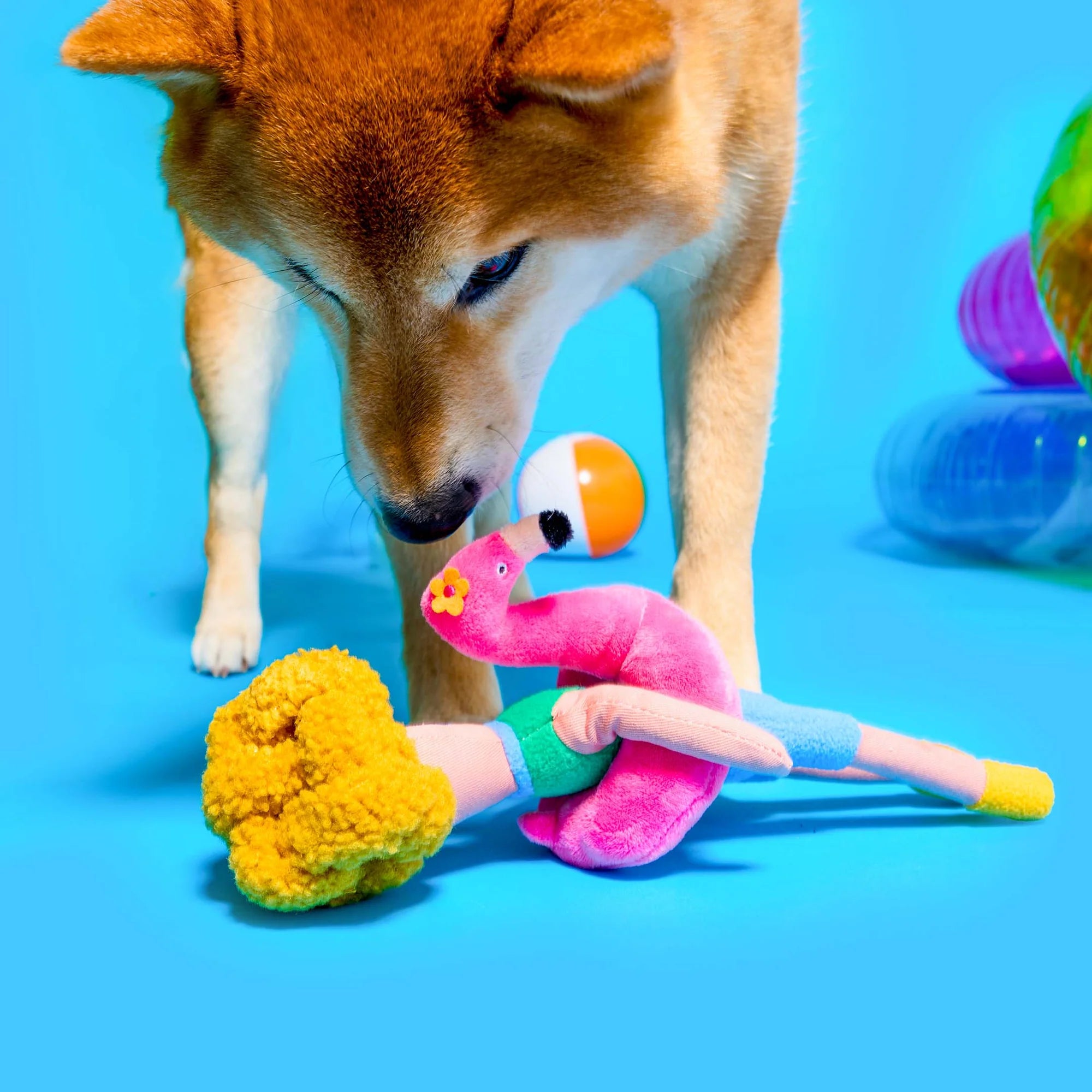 the furryfolks Hooman Nosework Toy