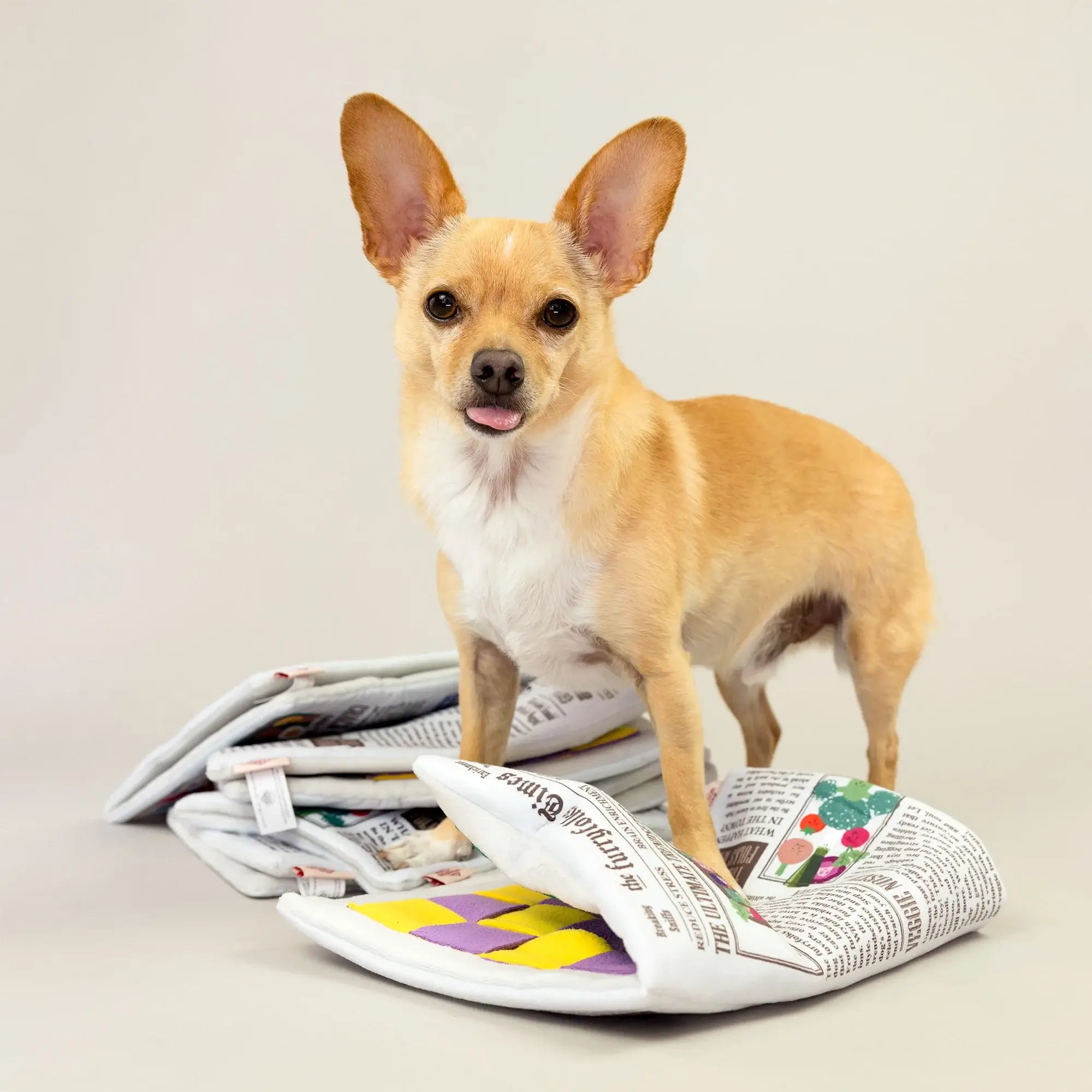 the furryfolks Newspaper Snuffle Mat