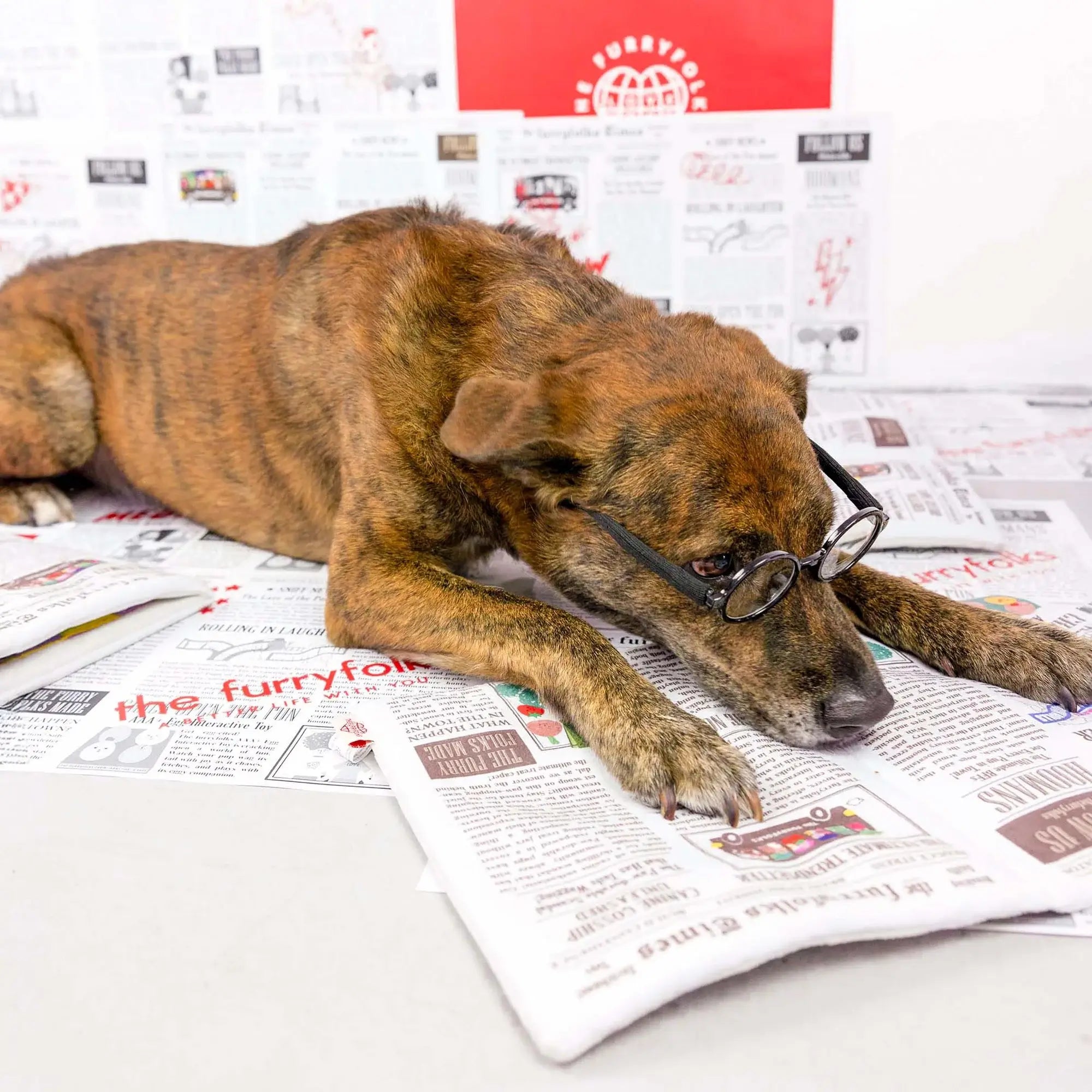 the furryfolks Newspaper Snuffle Mat