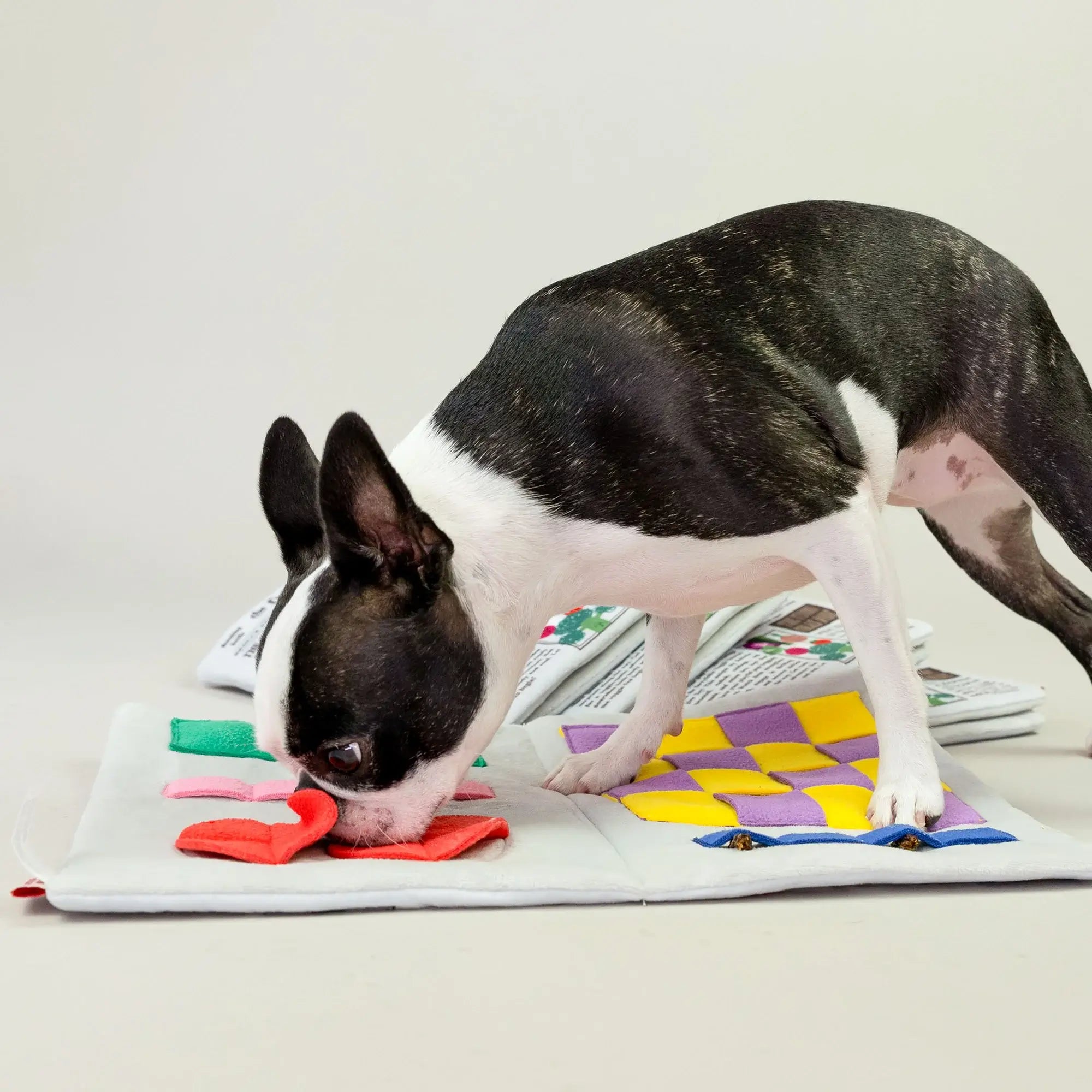 the furryfolks Newspaper Snuffle Mat