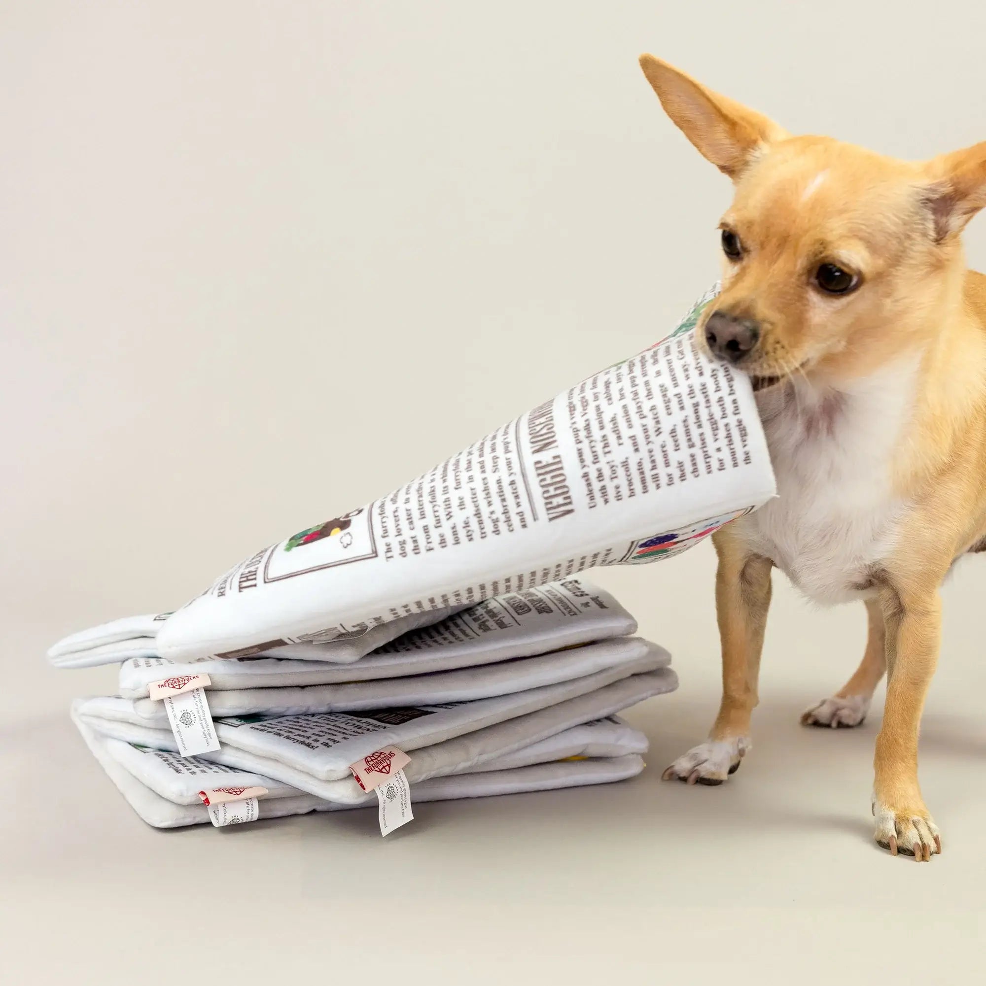 the furryfolks Newspaper Snuffle Mat