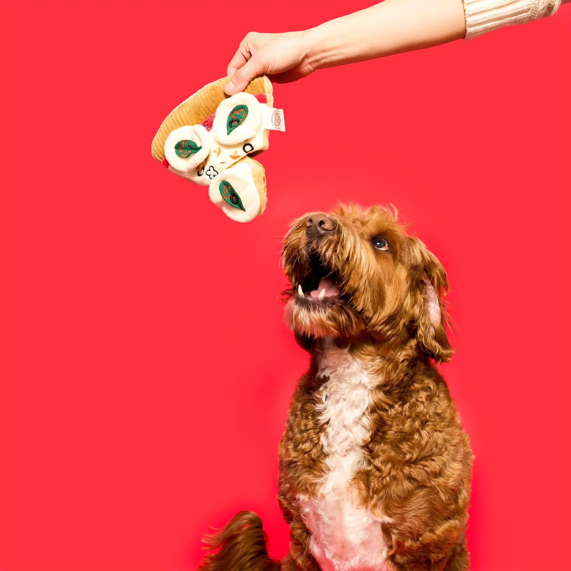 the furryfolks Pizza Nosework Toy