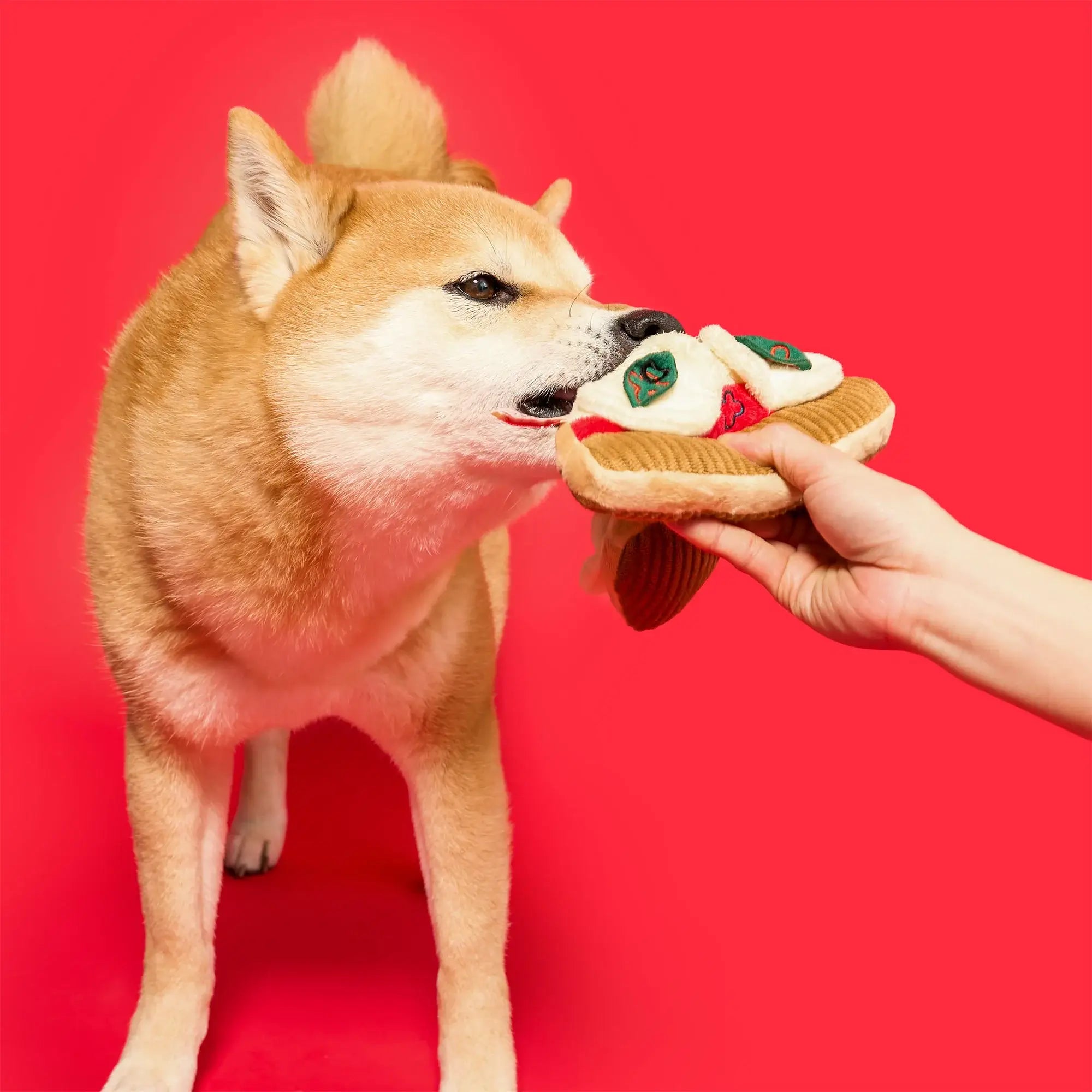 the furryfolks Pizza Nosework Toy