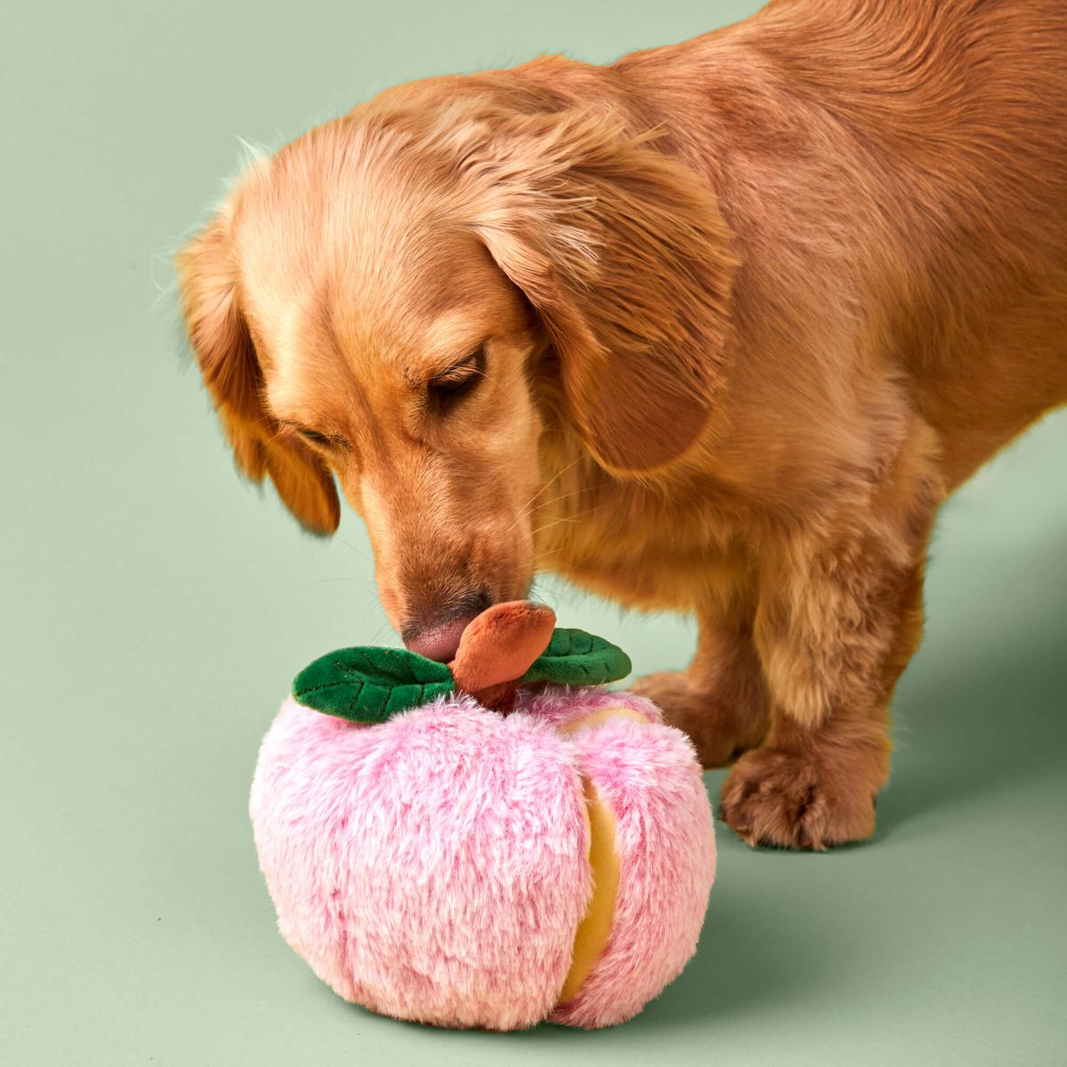 The Foggy Dog Apple Snuffle Toy