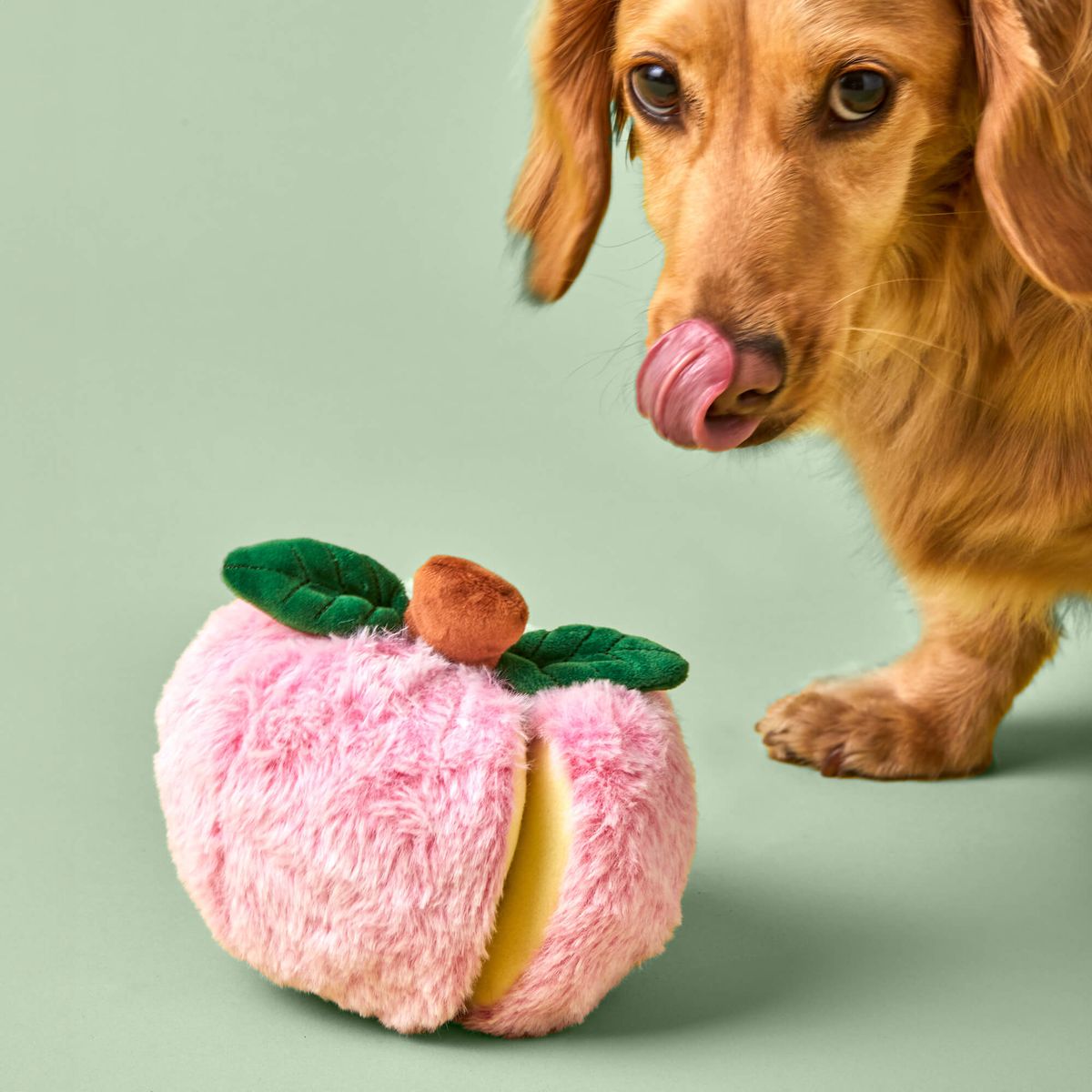 The Foggy Dog Apple Snuffle Toy