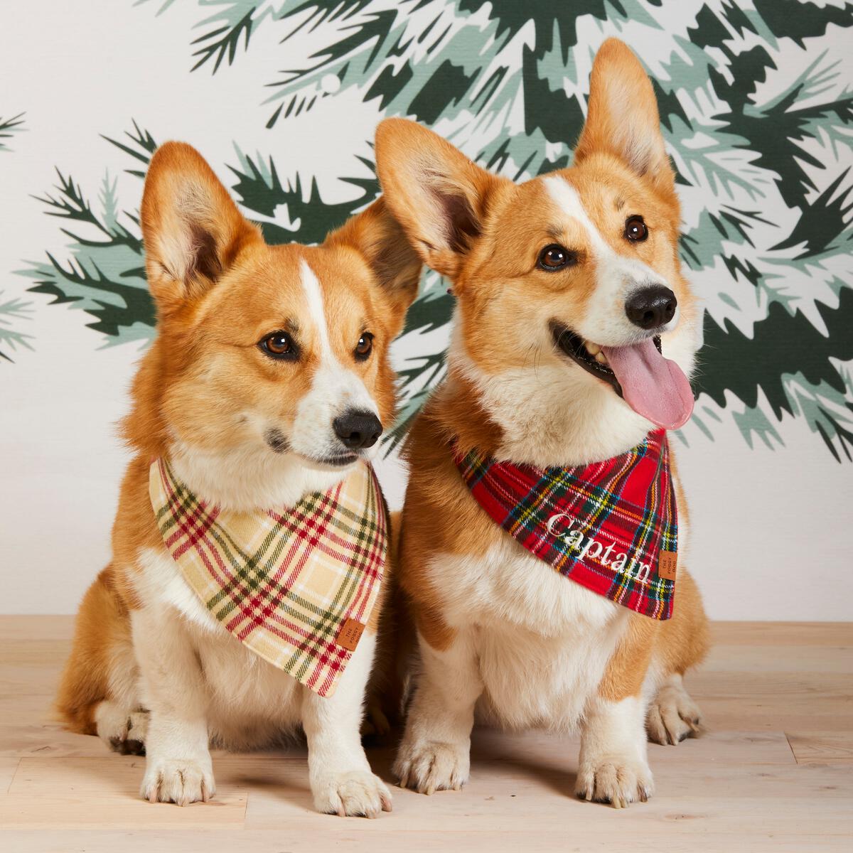 The Foggy Dog Tartan Plaid Flannel Bandana