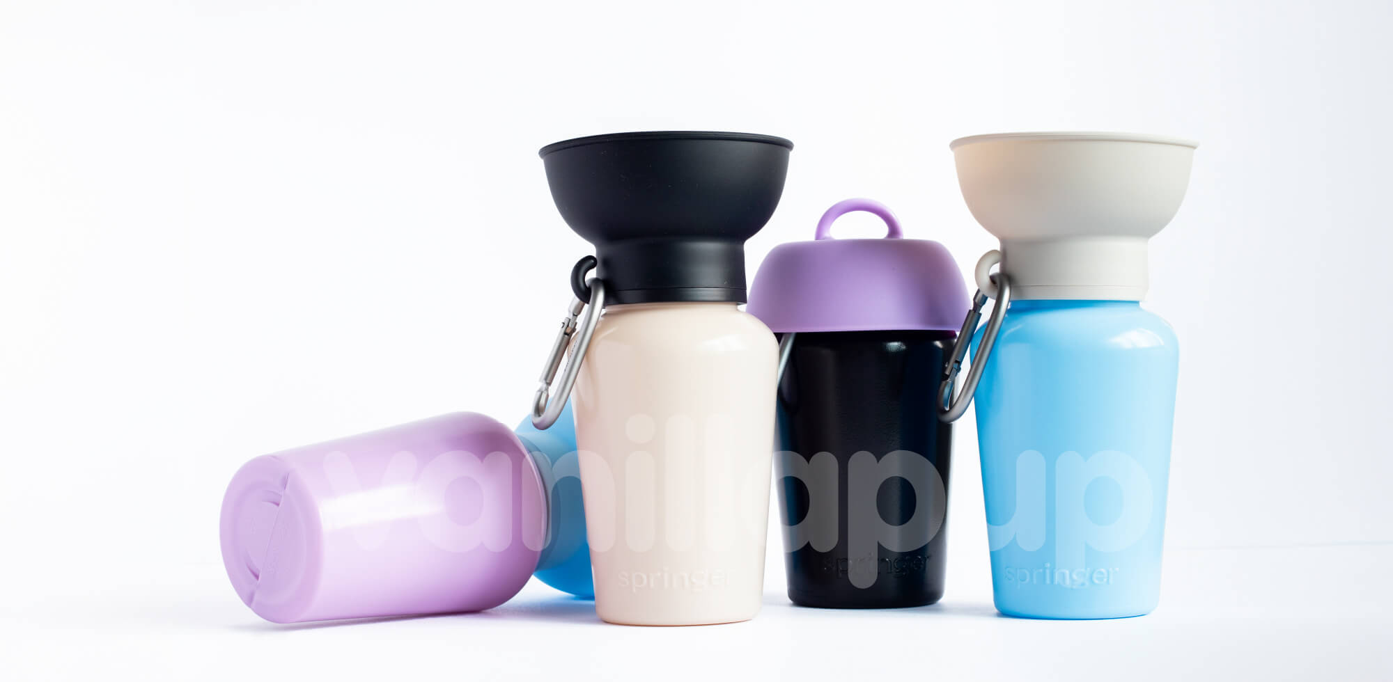 Vanillapup Colourways for Springer Flip Bottle