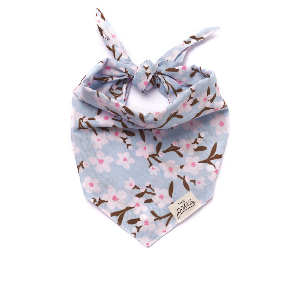 The Paws Bandana | Cherry Blossom