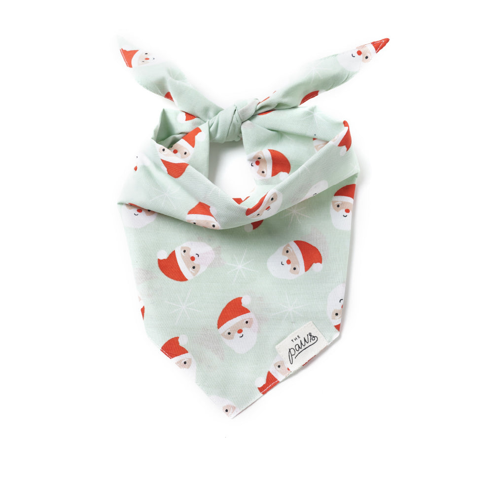 The Paws Bandana | Claus