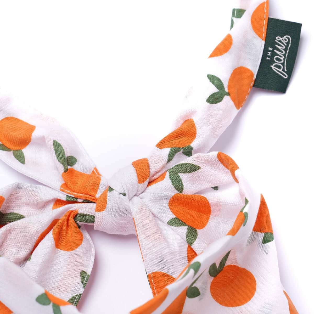 The Paws Bandana | Clementine