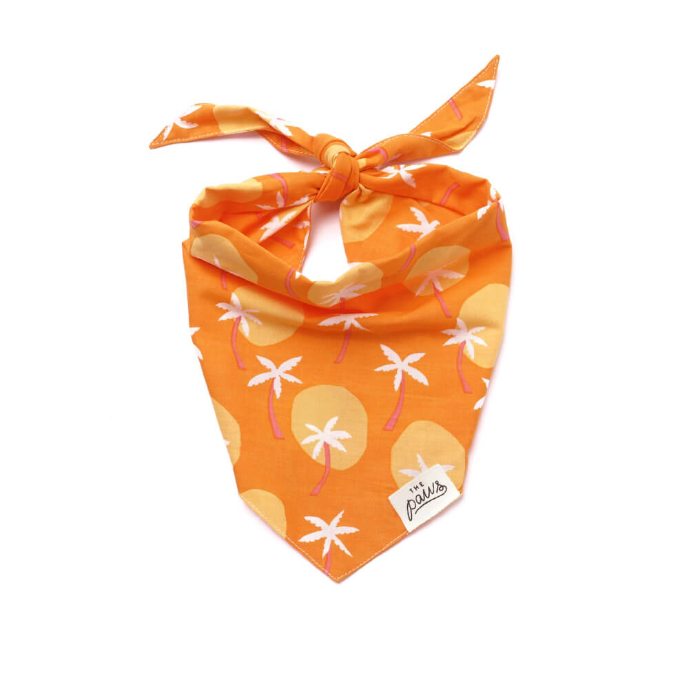 The Paws Bandana | Dreamland