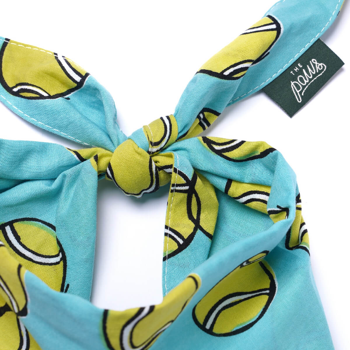 The Paws Bandana | Fetch