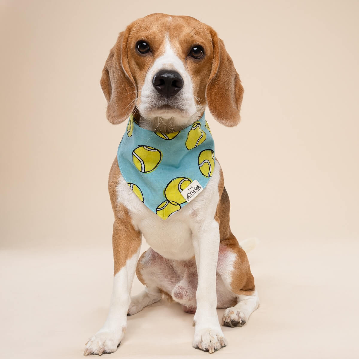 The Paws Bandana | Fetch