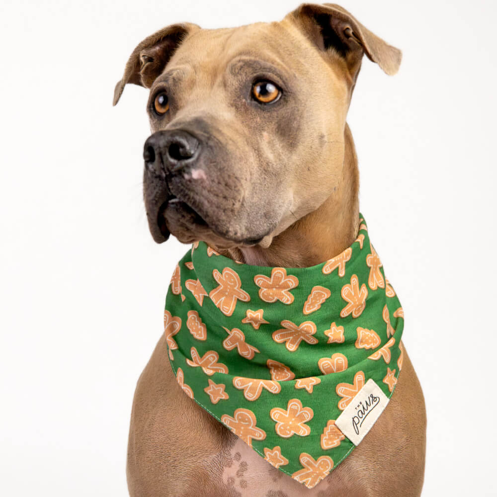 The Paws Bandana | Frosting