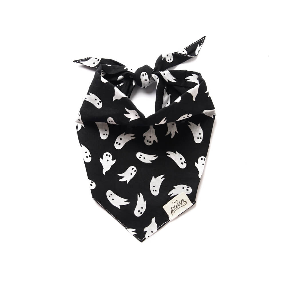 The Paws Bandana | Shadow