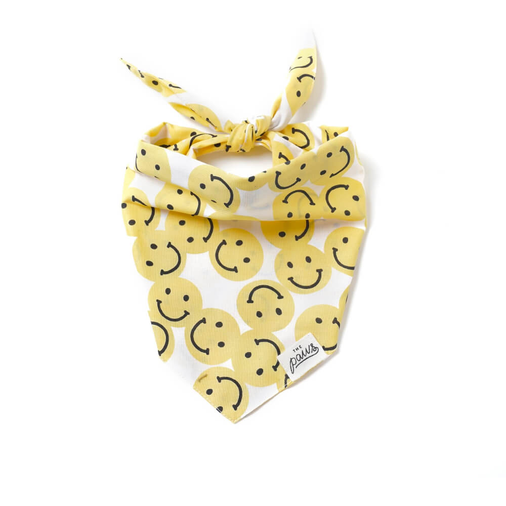 The Paws Bandana | Smile