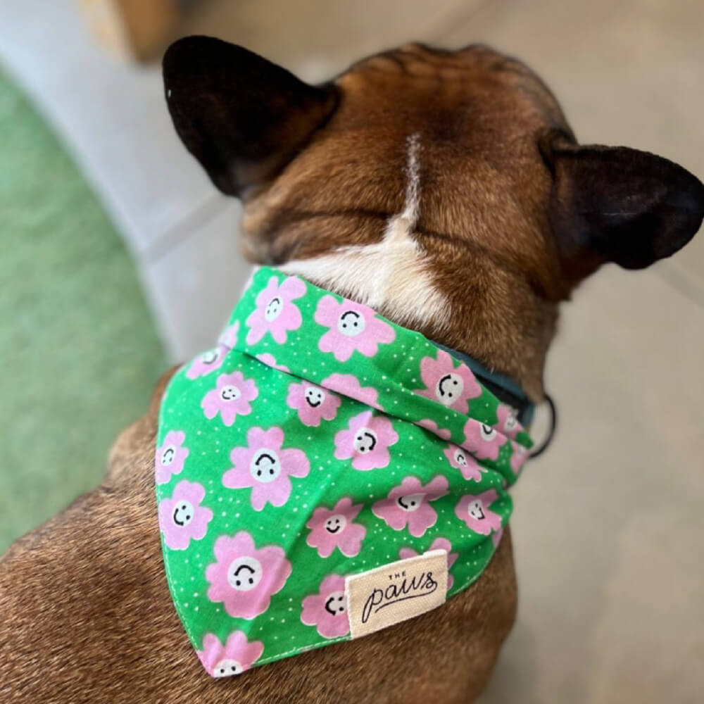 The Paws Bandana | Ziggy