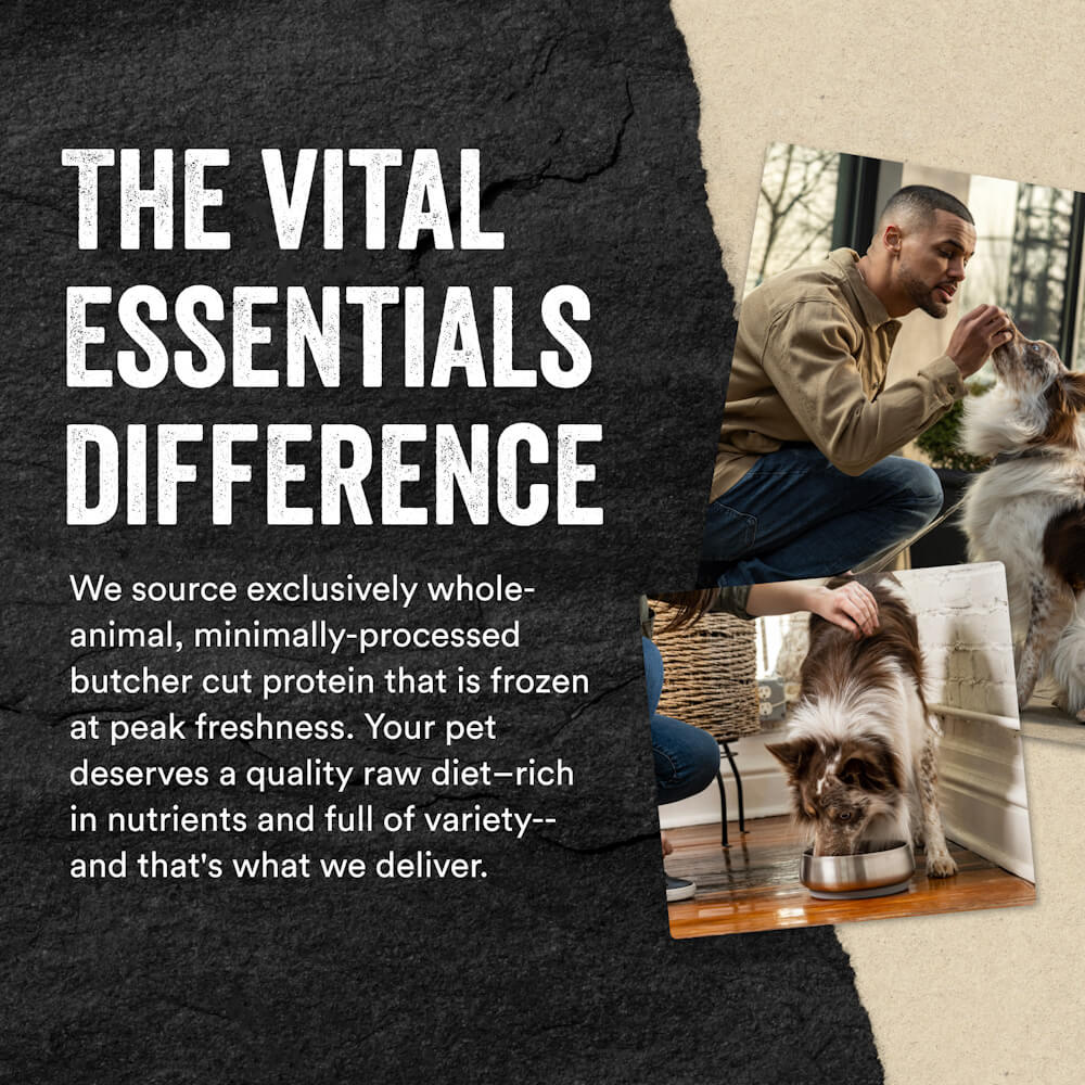 Vital Essentials® Freeze-Dried Mini Dog Food Patties | Rabbit