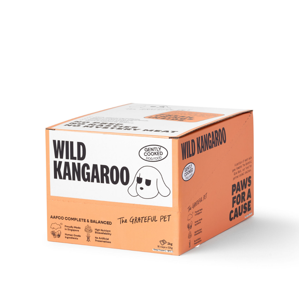 Box of Wild Kangaroo pet food on a white background