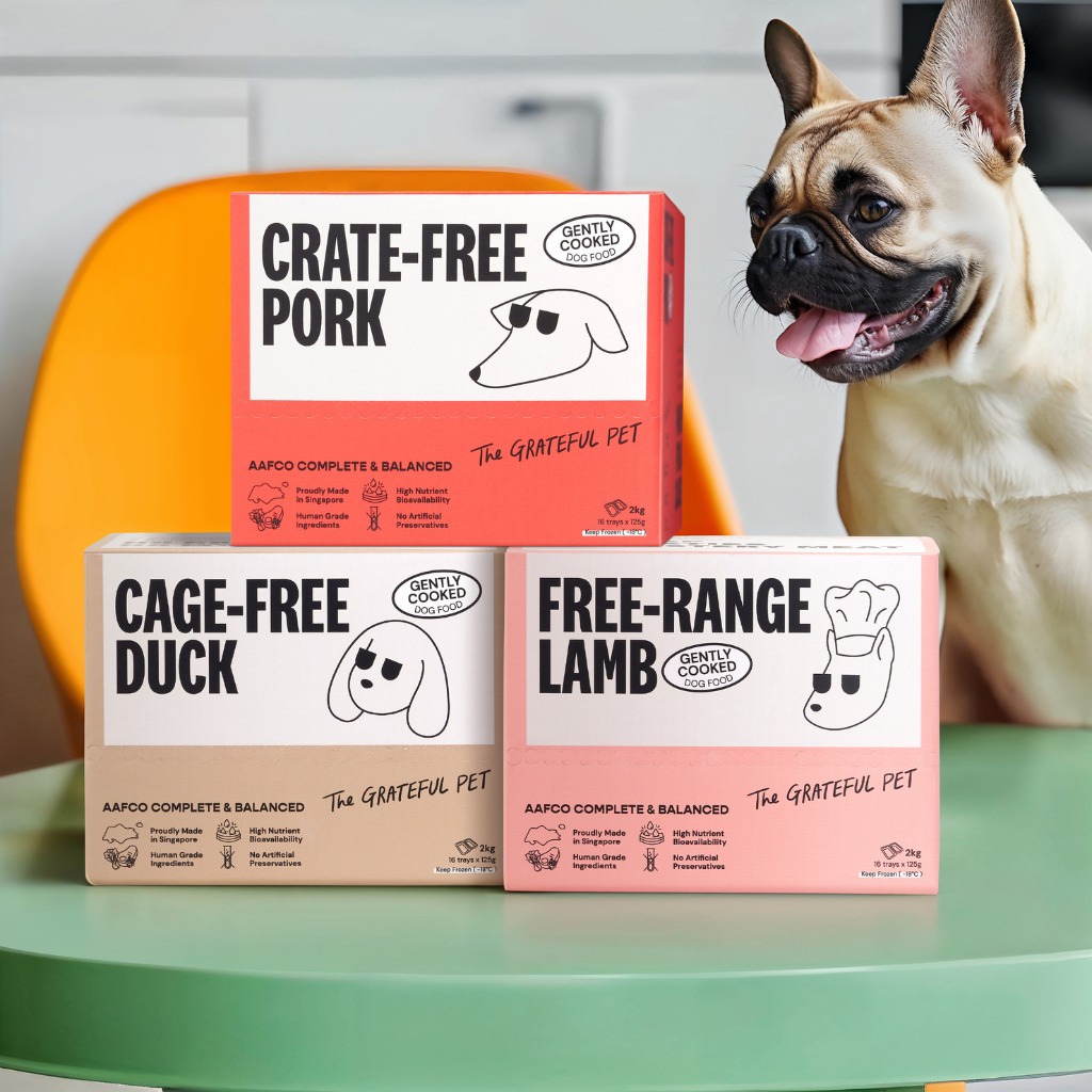 Three boxes of pet food with labels 'Crate-Free Pork', 'Cage-Free Duck', and 'Free-Range Lamb' on a green surface, with a dog in the background.