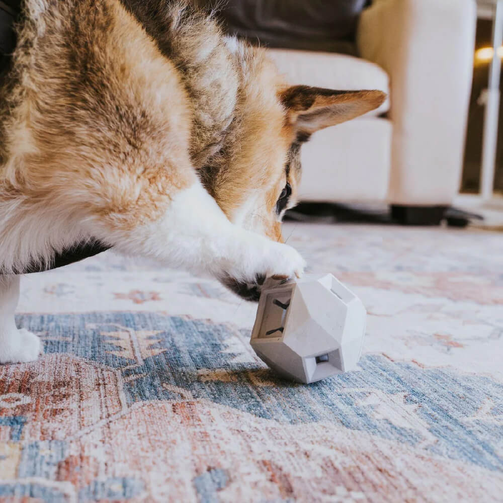 Up Dog The Odin Treat Puzzle Toy