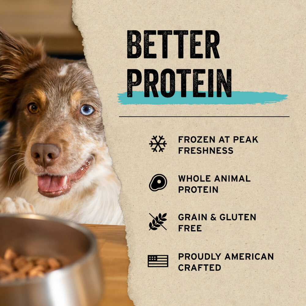 Vital Essentials® Freeze-Dried Mini Dog Food Patties | Turkey