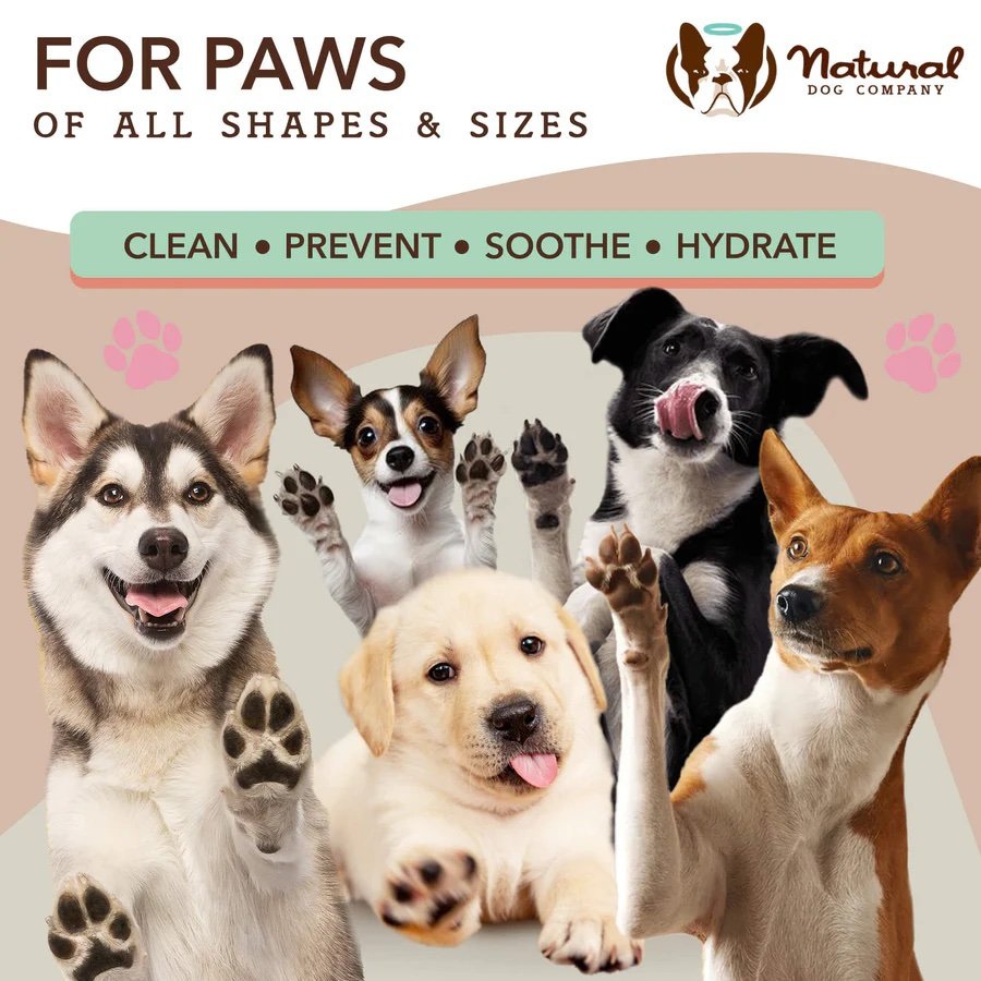 Natural Dog Company Paw Wipes