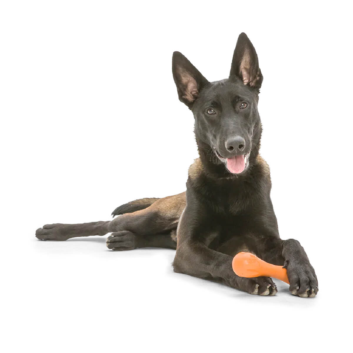 West Paw Zogoflex Hurley Fetch Toy