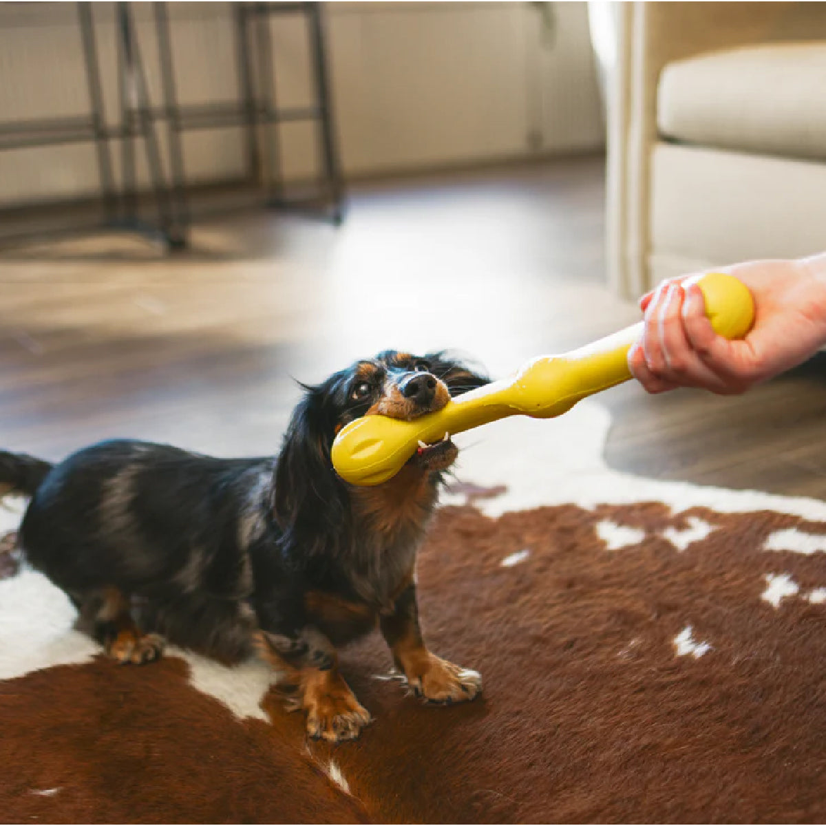 West Paw Zogoflex Echo Zwig Fetch Toy