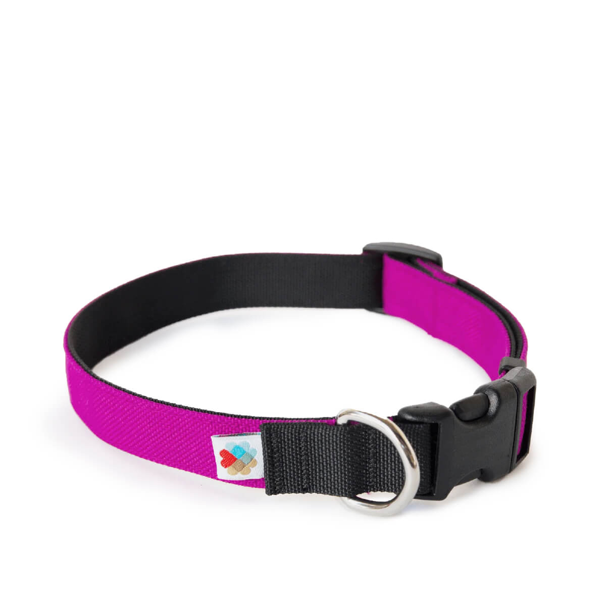 Wildebeest Funston Dog Collar