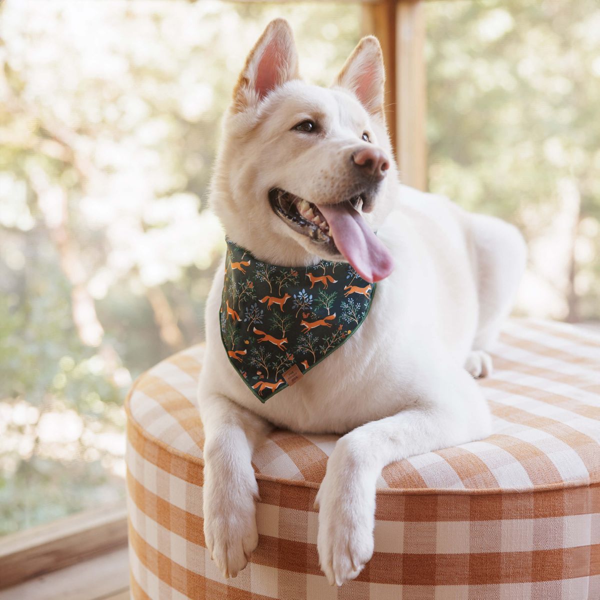 The Foggy Dog Woodland Fox Bandana