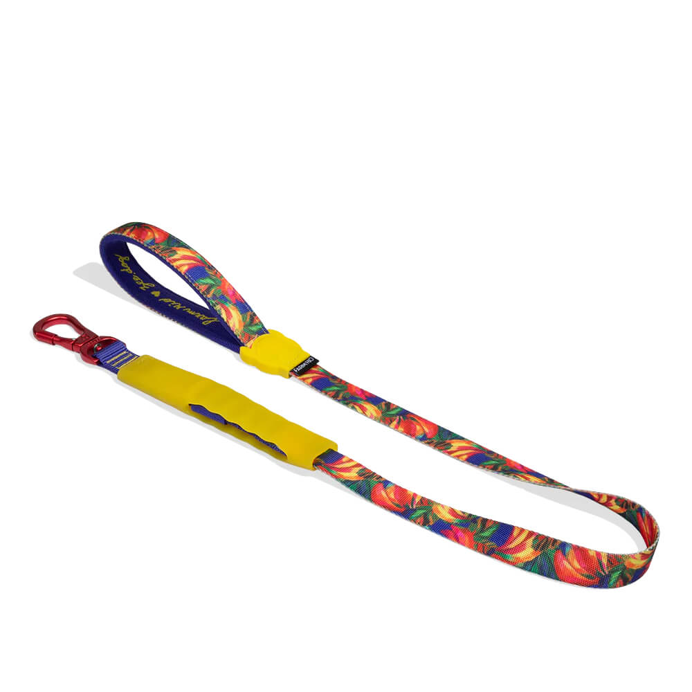 Zee.Dog Airleash | Samba