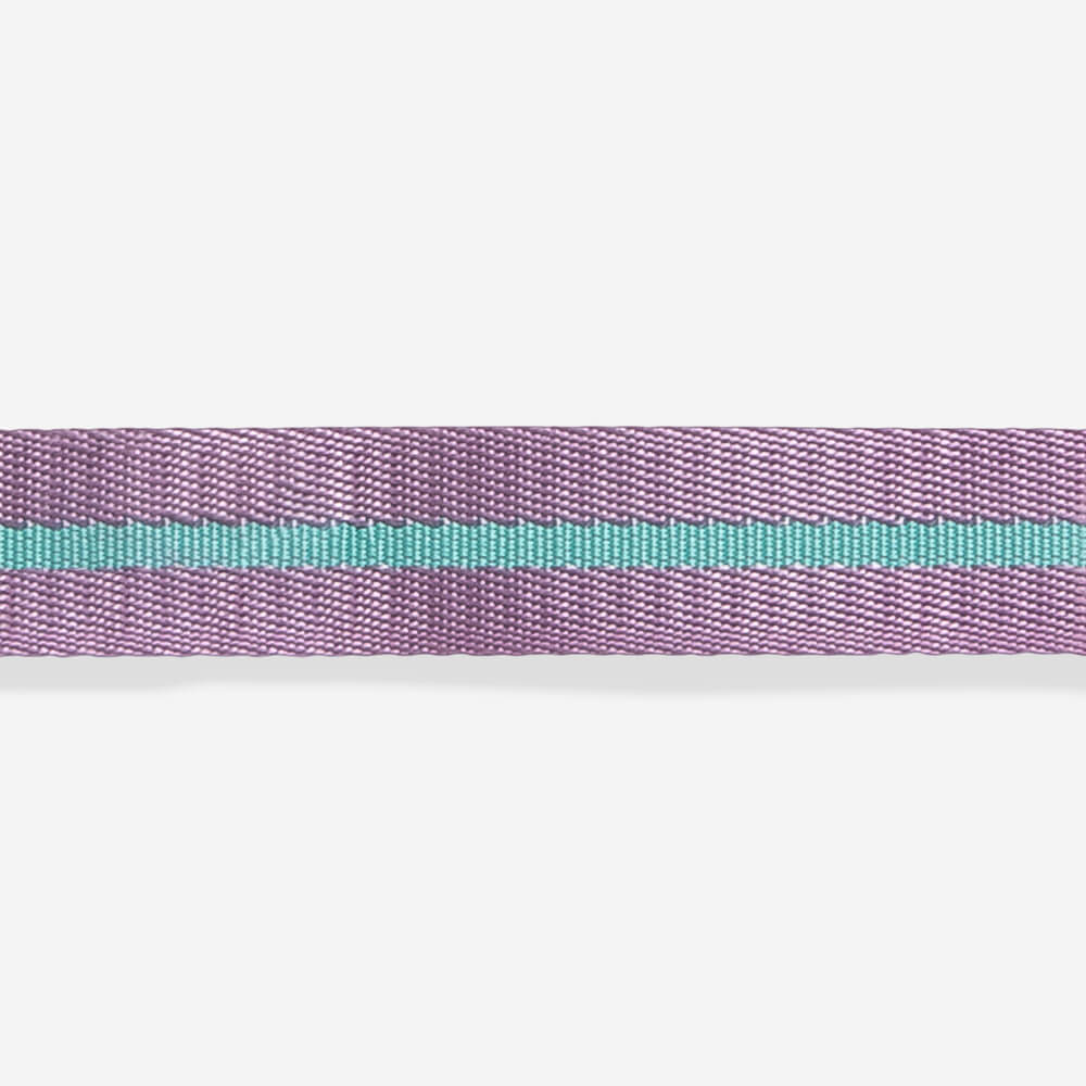 Zee.Dog Collar | Aura