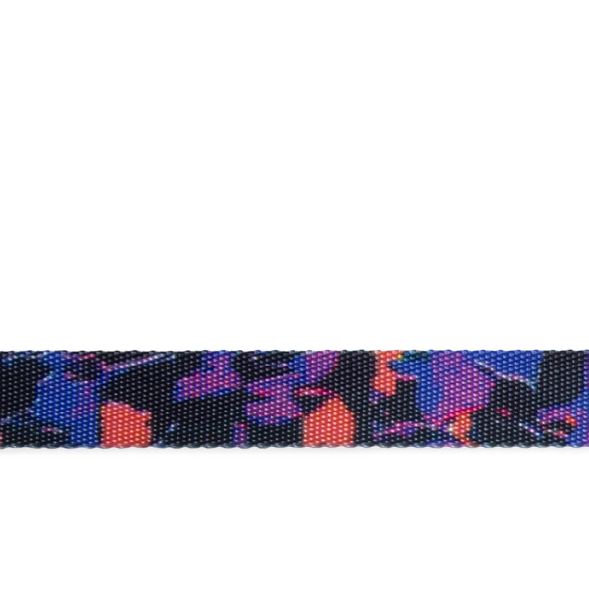 Zee.Dog x Reebok Collar | Court