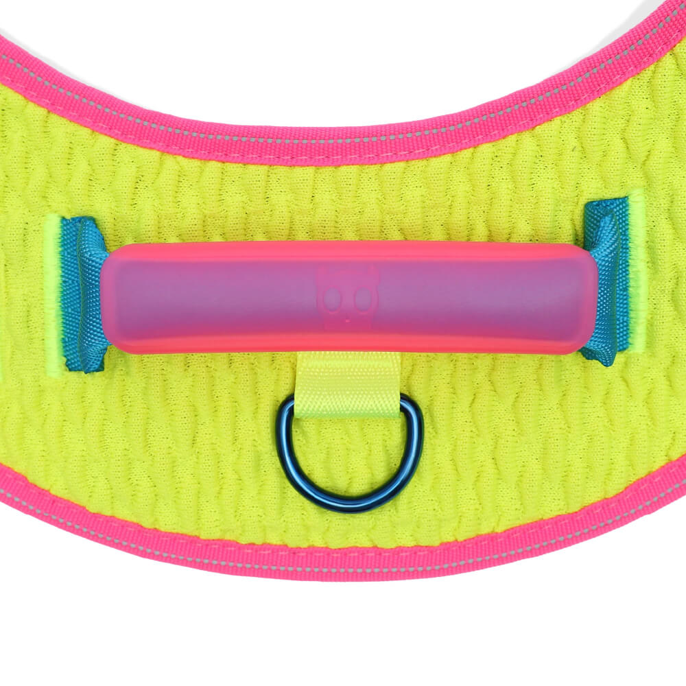 Zee.Dog FlyHarness | CMYK