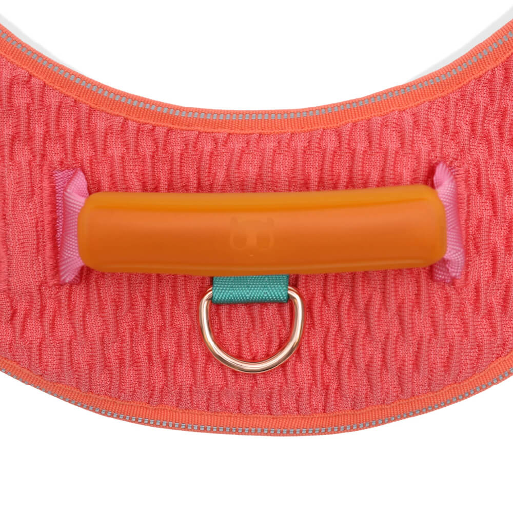 Zee.Dog FlyHarness | Gazelle