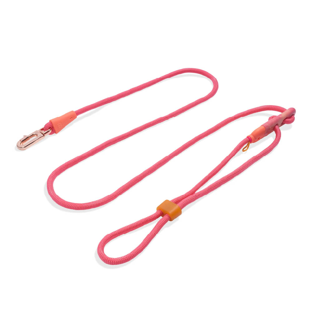 Zee.Dog Hands Free Rope Leash | Gazelle