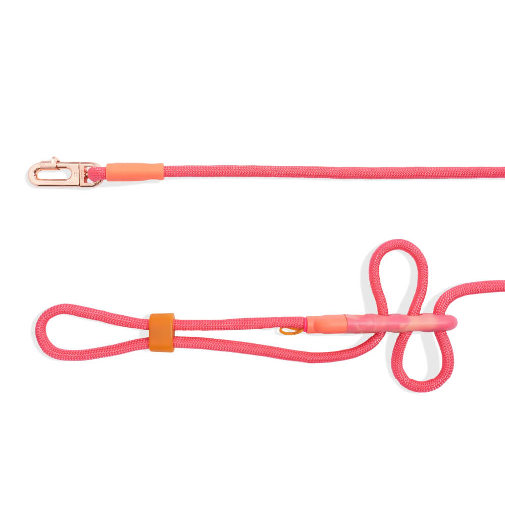 Zee.Dog Hands Free Rope Leash | Gazelle