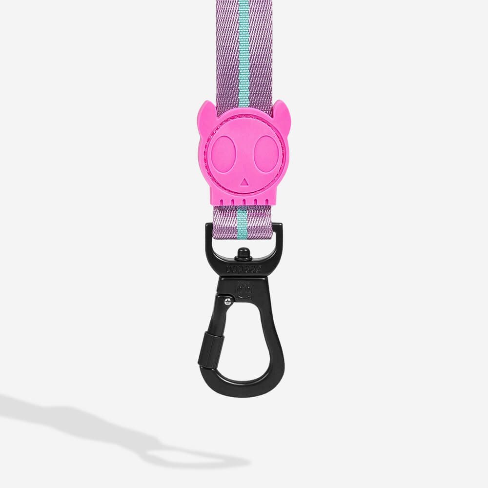 Zee.Dog Leash | Aura