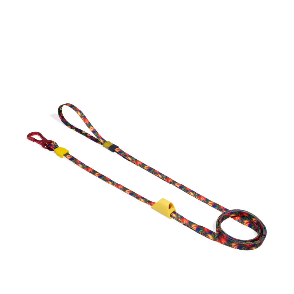 Zee.Dog Long Leash | Samba