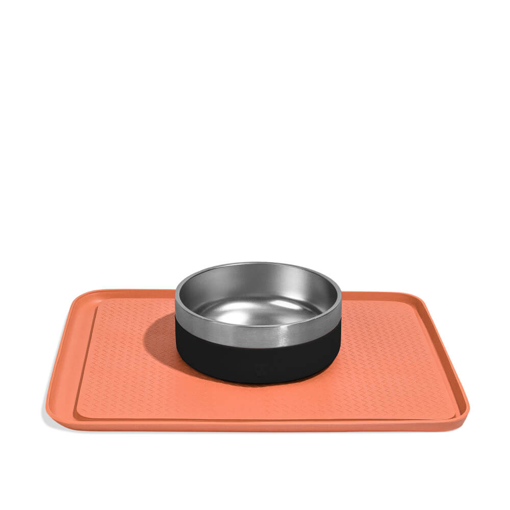 Kong dog clearance bowls