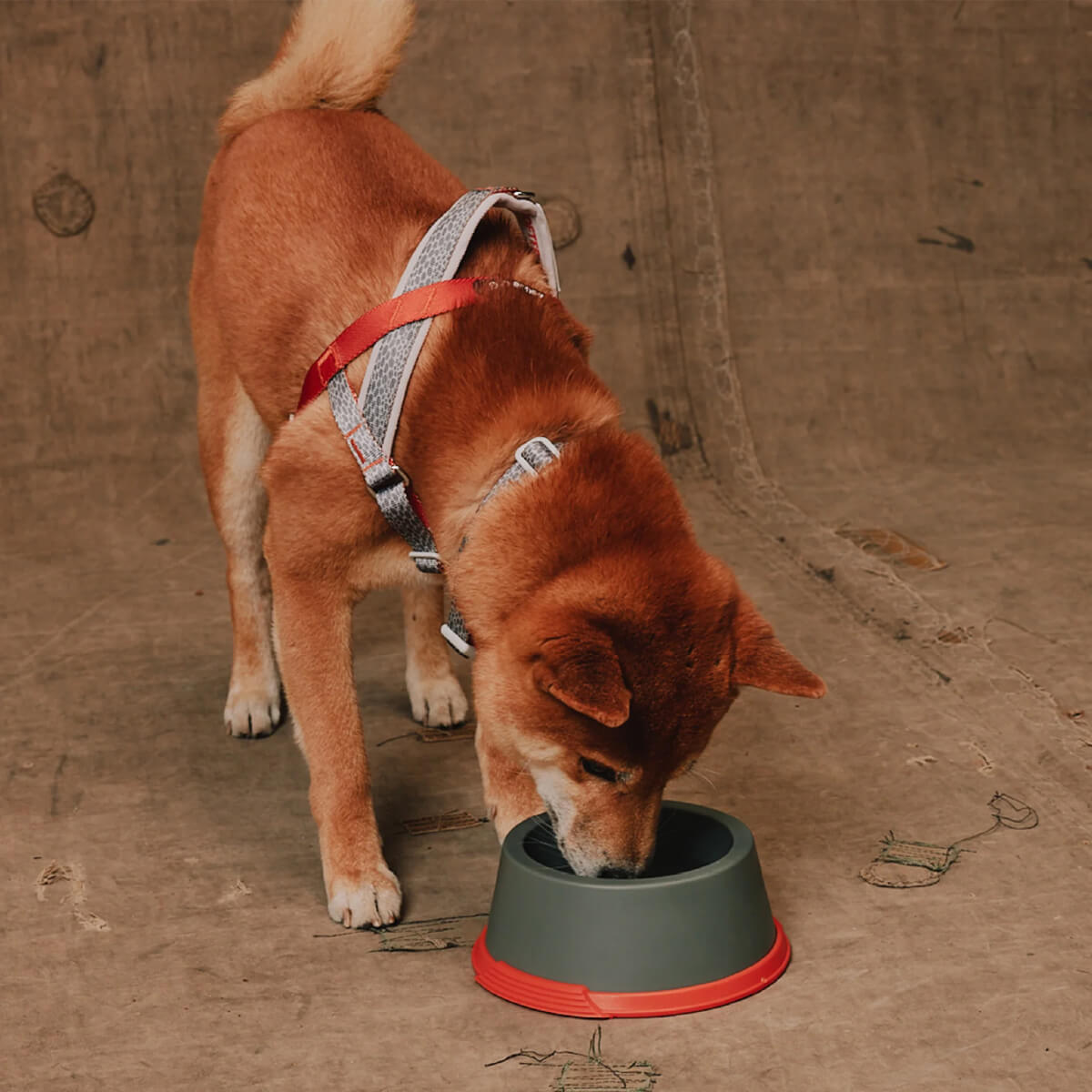 Zee.Dog x Reebok Suede Melamine Bowl