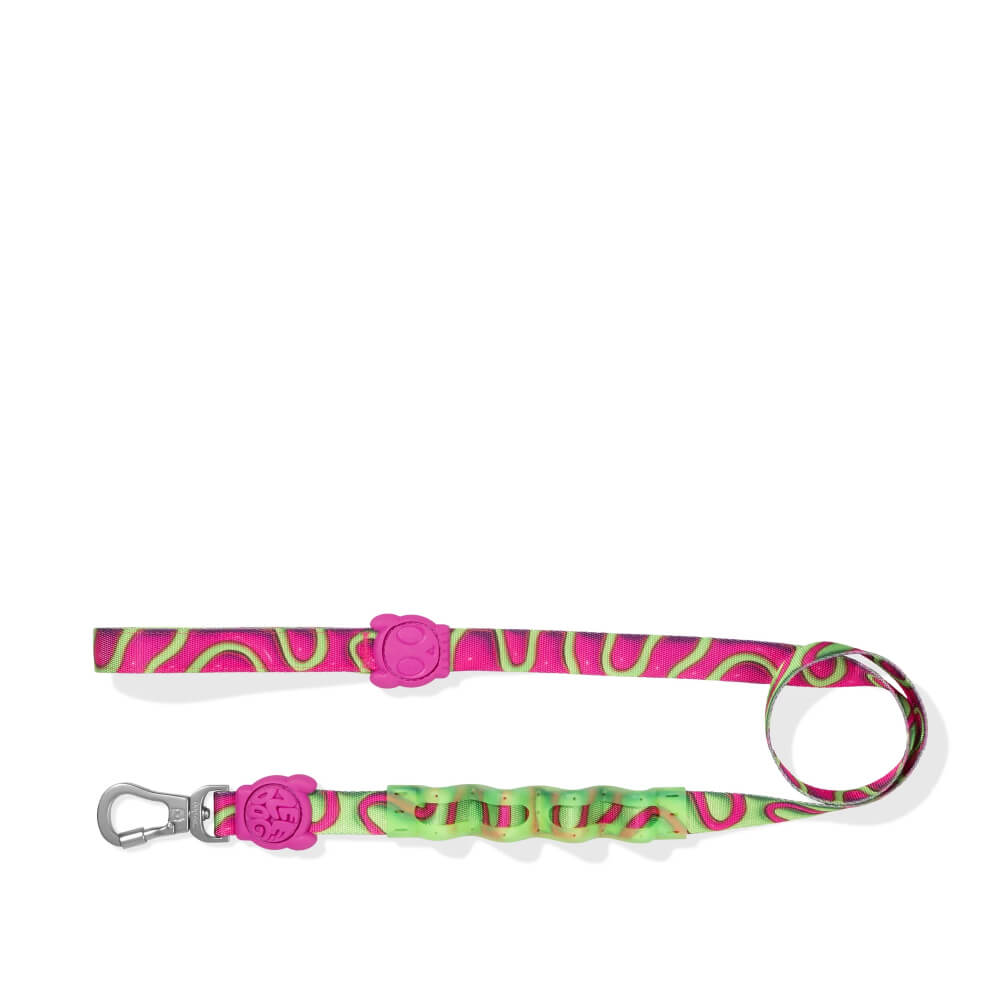 Zee.Dog Ruff Leash | H3D Jelly