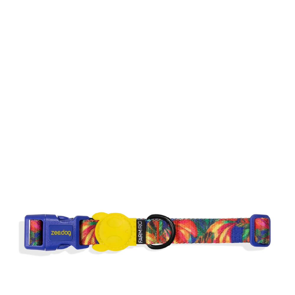 Zee.Dog Collar | Samba